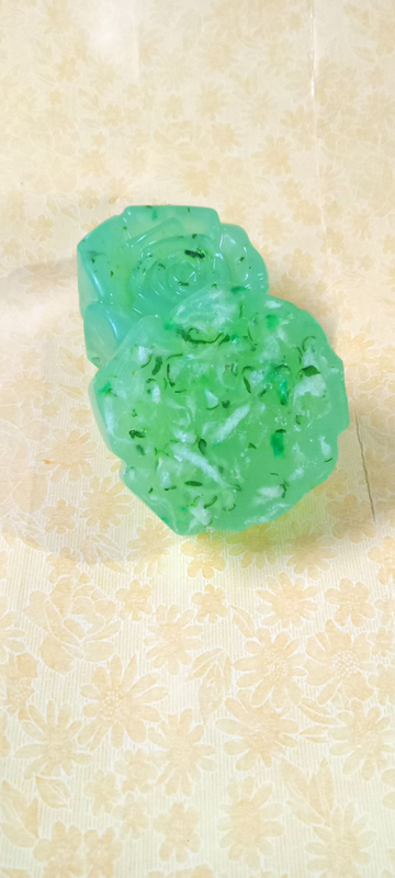 img20230127213325_9da43d38-497e-43e7-bf36-04ed2dca0654-4x